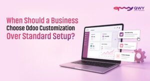 Odoo Customization
