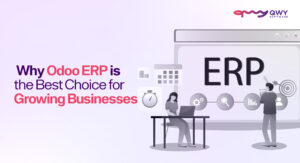 Odoo ERP